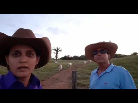 Capa Video
